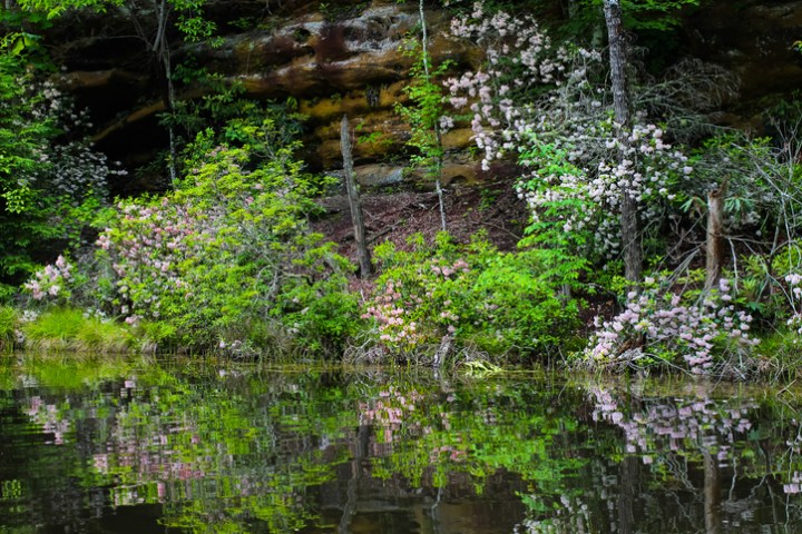 Pickett CCC Memorial State Park TN - Lake