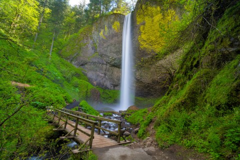 Spend The Day Exploring These Four Pedestrian Foot Bridges In Oregon