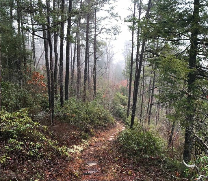 Pickett CCC Memorial State Park TN - Trail