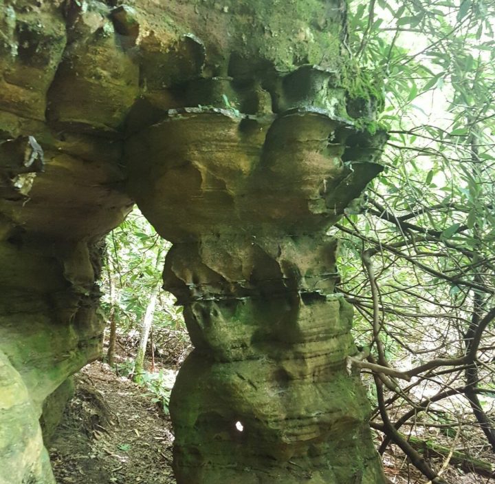 Pickett CCC Memorial State Park TN - Trail Arch