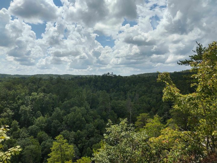 Pickett CCC Memorial State Park TN - View