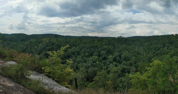 Pickett CCC Memorial State Park TN - Overlook