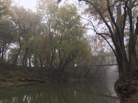 The Unique Day Trip To Port Royal State Park In Tennessee Is A Must-Do