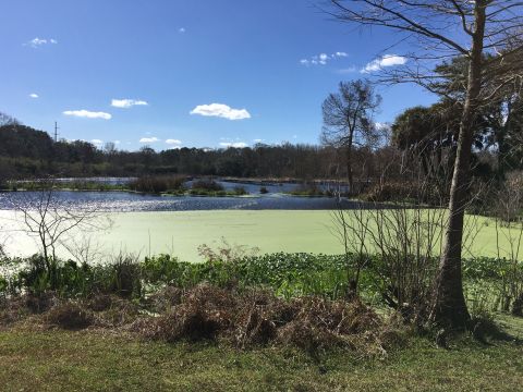 Jungle Gardens Trail Is An Easy Hike In Louisiana That Takes You To An Unforgettable View