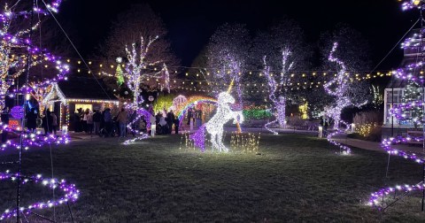 Walk Through A Million Holiday Lights At WinterLights At The North Carolina Arboretum