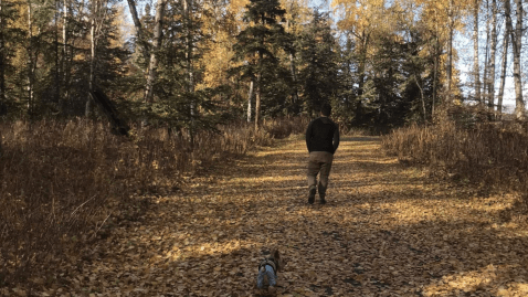 Meander Down This Easy, Paved Loop Trail In Alaska That The Whole Family Will Love