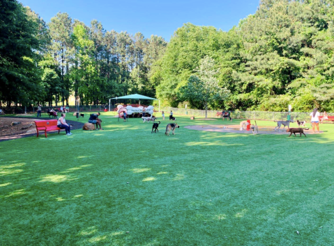 You Have To See To Believe Newtown Dream Dog Park In Georgia, One Of The Top Dog Parks In The Country