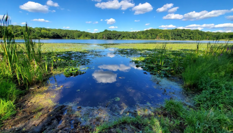 Visiting This One Inland Lake Near Detroit Is Like Experiencing A Dream