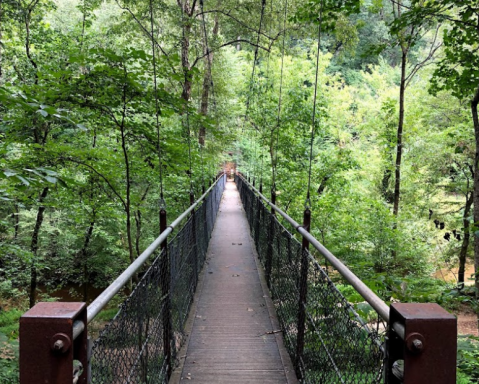 Spend The Day Exploring This Secret Suspension Bridge In Georgia
