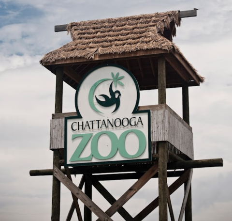 See Komodo Dragons, Leopards, And So Much More At The Chattanooga Zoo In Tennessee