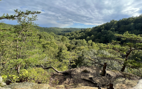 With Dramatic Sandstone Cliffs And A Waterfall, Conkle's Hollow Is Often Called The Grand Canyon Of Ohio