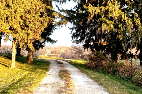 Spend The Night In An Airbnb That's Inside An Actual National Wildlife Habitat Right Here In Minnesota