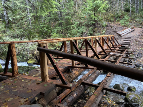 The One-Of-A-Kind Trail In Washington With Numerous Bridges And Old Growth Trees Is Quite The Hike