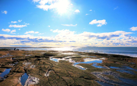 Some Of The Most Beautiful Hiking In Trails In Maine's Acadia Don't Feature Summits But Coastline Instead