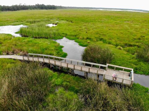 Take An Easy Loop Trail Past Some Of The Prettiest Scenery In Louisiana On Sugarmill Nature Trail