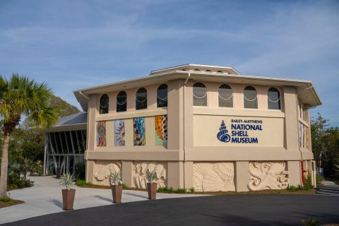 There's A Seashell Museum In Florida And It's Full Of Fascinating Oddities, Artifacts, And More