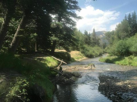 An Easy But Gorgeous Hike, Red River Nature Trail Leads To A Little-Known River In New Mexico