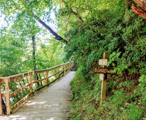 Follow This 3/4-Mile Trail In North Carolina To A Hidden Cave, A River, And Baptism Rock