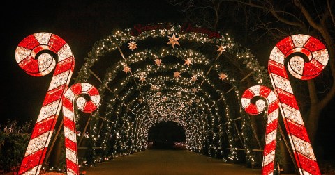 The Larger-Than-Life Holiday Road Experience Is Returning To Southern California This Winter