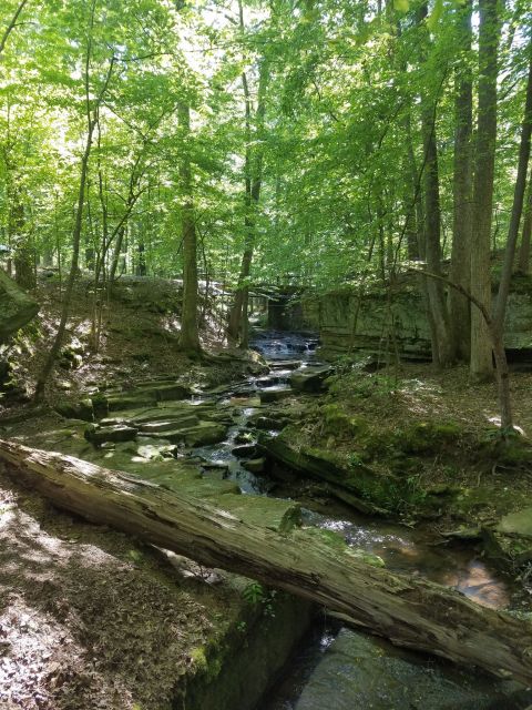 Saddleback Ridge And Flatrock Trail In Mississippi Is Full Of Awe-Inspiring Rock Formations