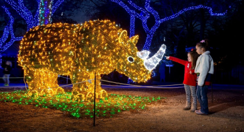 Walk Through A Lighted Safari This Christmas At The San Antonio Zoo In Texas