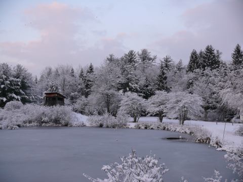 If You Live In Pittsburgh, You’ll Want To Visit This Amazing Nature Reserve This Winter