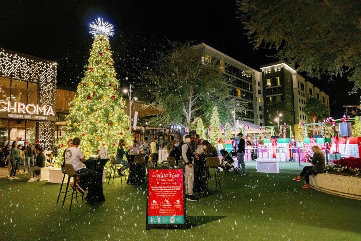 Christmas Festival In Florida