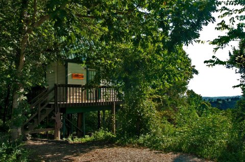 Spend The Night In A Treehouse In The Middle Of Arkansas’ Turpentine Creek Wildlife Refuge