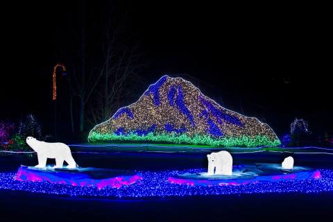 The Larger Than Life Zoo Lights Have Returned To Washington This Winter