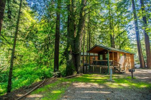 This Year-Round Campground In Northern California Is One Of America's Most Incredible Forest Getaways