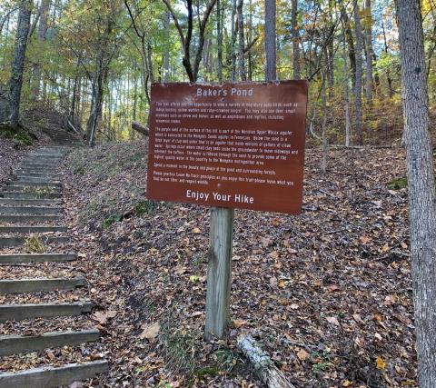 This 1-Mile Trail In Mississippi Leads To A Spring-Fed Pond