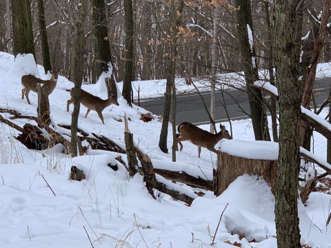 The Easy 2.7-Mile Winter Hike In Pittsburgh That's Positively Enchanting