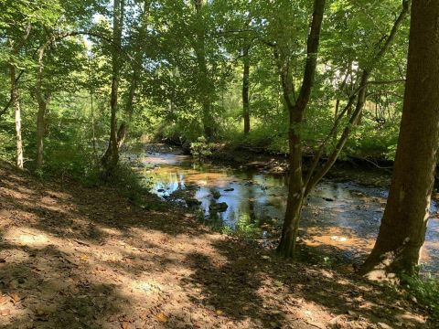 Follow This 3.3-Mile Trail In Delaware To A Picturesque Footbridge, Creeks, And Wildflowers