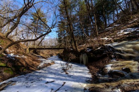 4 Cool And Calming Hikes To Take In Illinois To Help You Reflect On The Year Ahead