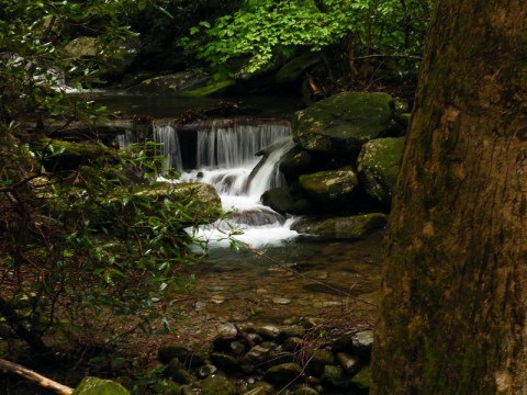 Roaring Fork Is An Unrivaled Mountain Hike In Tennessee Everyone Should Take At Least Once