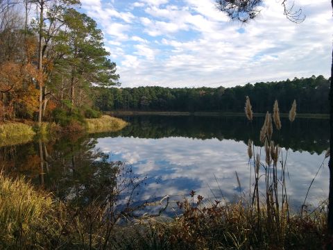 This Secluded Lake Trail In Louisiana Is So Worthy Of An Adventure