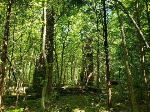 This Secluded, Abandoned Homestead In Arkansas Is So Worthy Of An Adventure