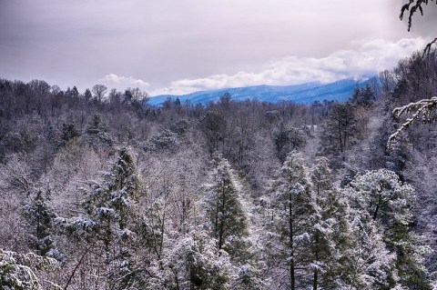 Take This 14-Mile Drive To Take In Magical Winter Views In Tennessee After A Good Snowfall