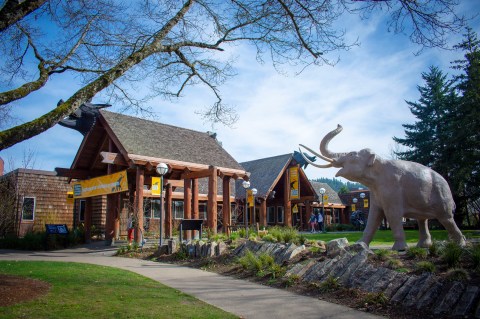 This Exhibit At The Museum Of Natural And Cultural History Takes You On A Medieval Adventure In Oregon