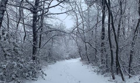 The 5.4-Mile Winter Hike In Pennsylvania That's Positively Bewitching