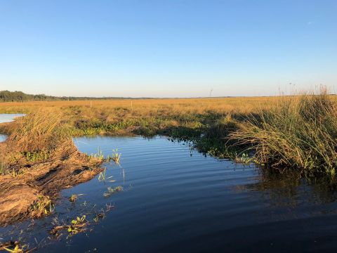 Cane Bayou Track In Louisiana Is Full Of Awe-Inspiring Bayou Views