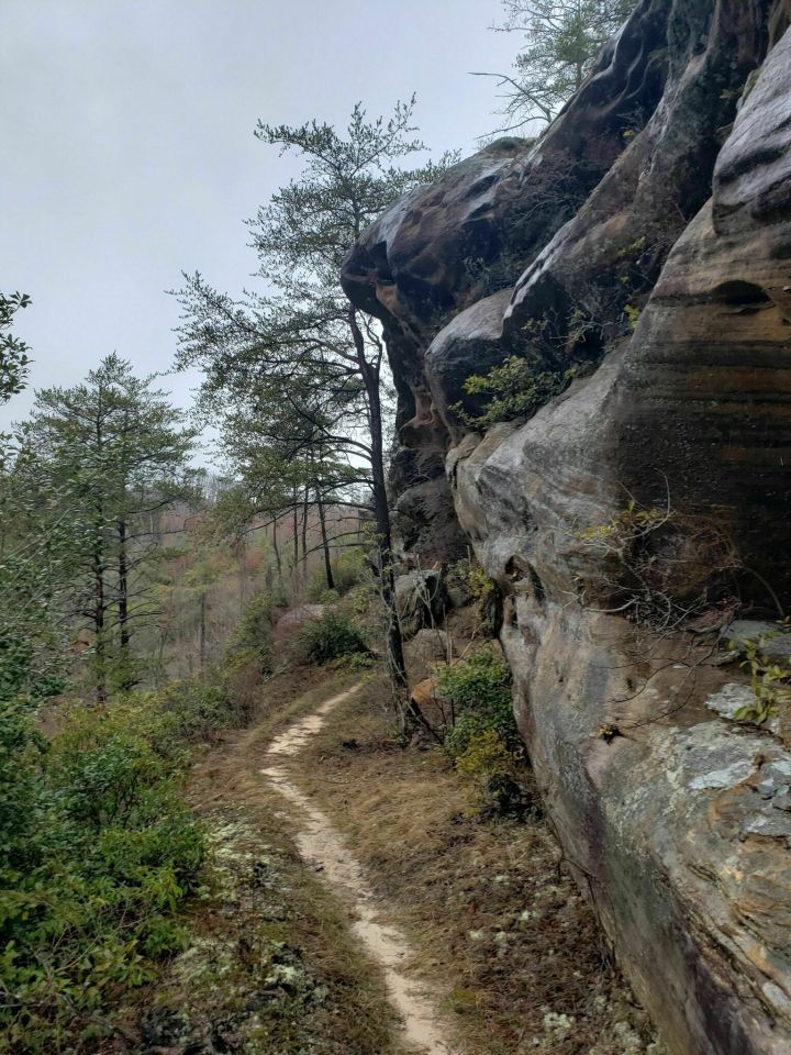 Pickett CCC Memorial State Park TN - Trail