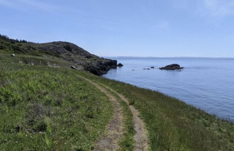 Iceberg Point Trail Is A Hidden Gem Of An All-Season Hike In Washington