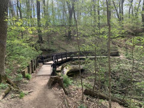 This Secluded Cliff Trail In Wisconsin Is So Worthy Of An Adventure