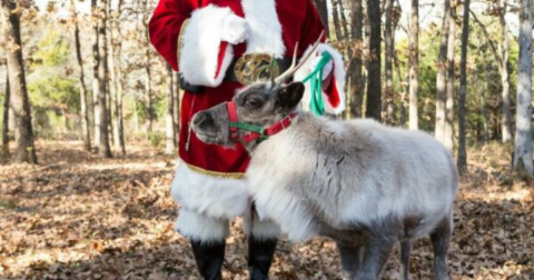 Donner And Blitzen Will Visit You This Holiday Season At Your Very Own Christmas Event In Oklahoma