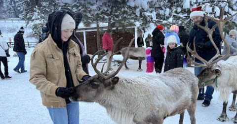 Visit Donner And Blitzen This Holiday Season At Washington's Very Own Reindeer Farm