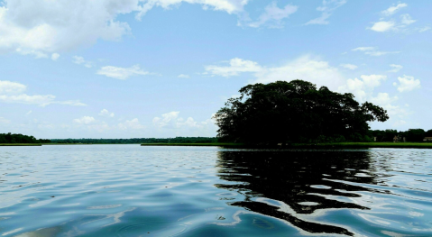 Explore A New Side Of Narragansett With the Narrow River Kayak Route,, A Special Kayak Trail In Rhode Island