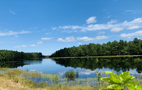 The Little-Known Ruins In New Jersey You Can Reach By Hiking This 4-Mile Trail