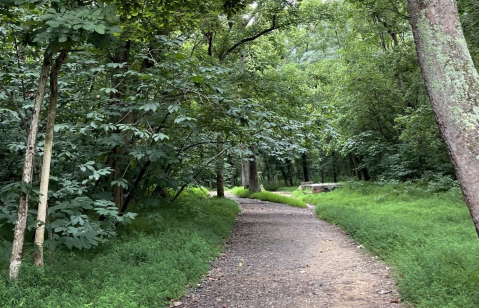 The Little-Known Ghost Town In Virginia You Can Only Reach By Hiking This 1.7-Mile Trail