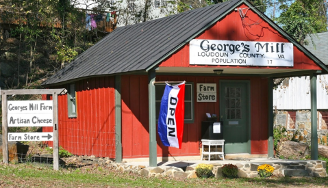 You'll Have Loads Of Fun At This Dairy Farm In Virginia With Incredible Cheese